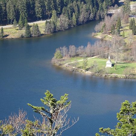 Chalet La Petite Perle Gerardmer Exterior photo