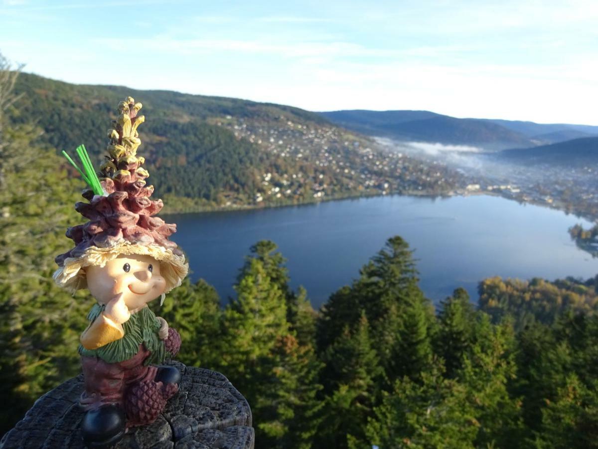 Chalet La Petite Perle Gerardmer Exterior photo